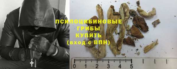мет Мегион