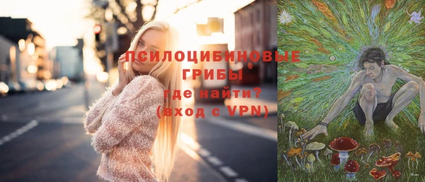apvp Медногорск