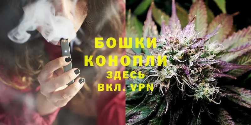 МАРИХУАНА Ganja  гидра ТОР  Мураши 